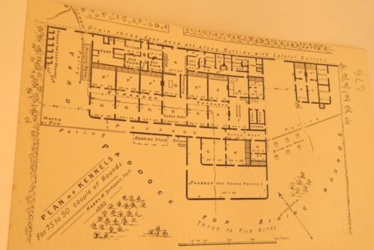 Kennels plan from 1895